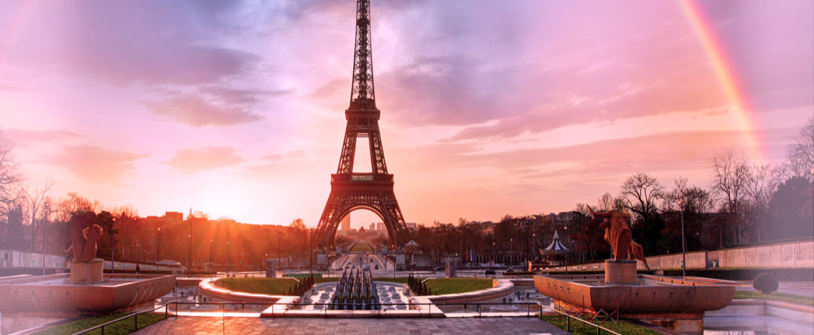 CRANE TO TRAIN, WE DO EVERYTHING